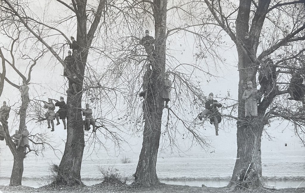 Unbekannter Fotograf, Theresienstadt in Böhmen (Terezín), 1914. Soldaten sitzen auf Bäumen und schauen in die Kamera.